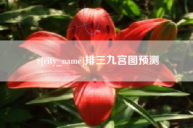 泽州排三九宫图预测