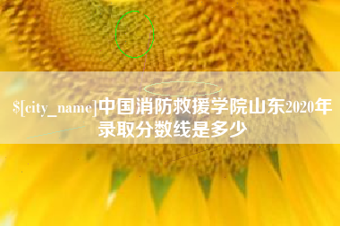 泽州中国消防救援学院山东2020年录取分数线是多少