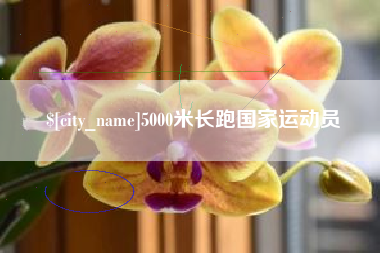泽州5000米长跑国家运动员