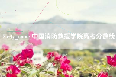 泽州中国消防救援学院高考分数线