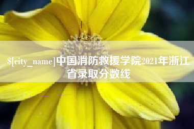 泽州中国消防救援学院2021年浙江省录取分数线