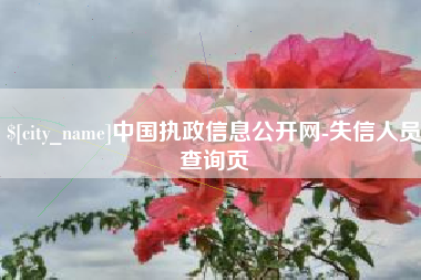 泽州中国执政信息公开网-失信人员查询页