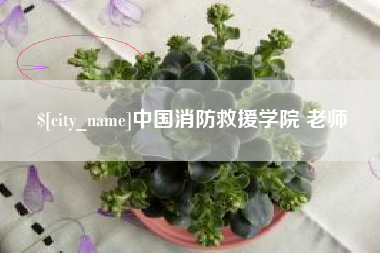 泽州中国消防救援学院 老师