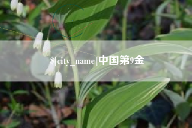 泽州中国第9金