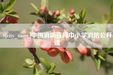 泽州中国消防官网中小学消防公开课