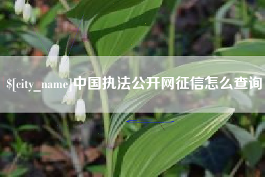 泽州中国执法公开网征信怎么查询