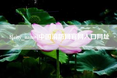 泽州中国消防网官网入口网址