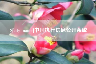 泽州中国执行信息公开系统