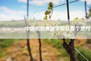 泽州中国消防救援学院在那个地方
