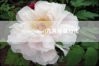 泽州九宫排盘方法