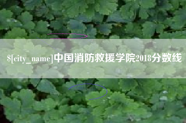 泽州中国消防救援学院2018分数线