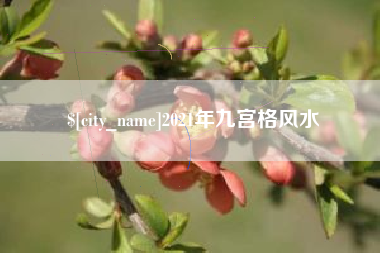 泽州2021年九宫格风水