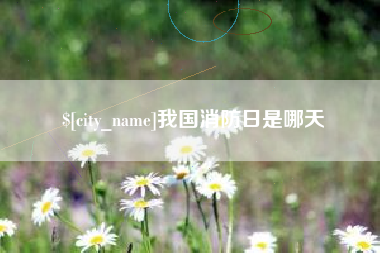 泽州我国消防日是哪天