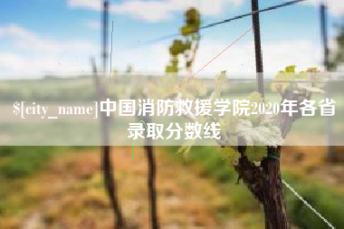 泽州中国消防救援学院2020年各省录取分数线