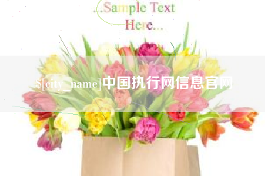 泽州中国执行网信息官网