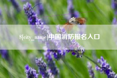 泽州中国消防报名入口