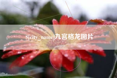 泽州九宫格龙图片