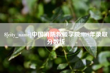 泽州中国消防救援学院2019年录取分数线