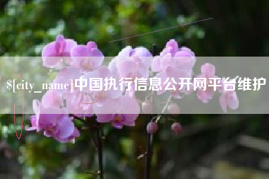 泽州中国执行信息公开网平台维护