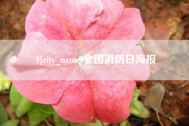 泽州全国消防日海报