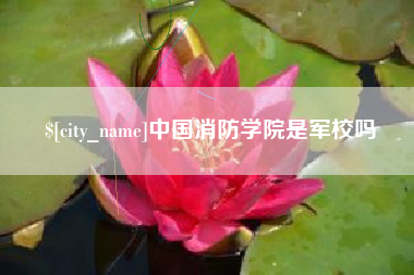 泽州中国消防学院是军校吗