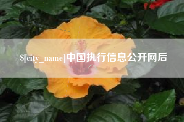 泽州中国执行信息公开网后