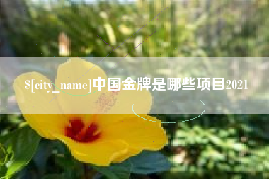 泽州中国金牌是哪些项目2021
