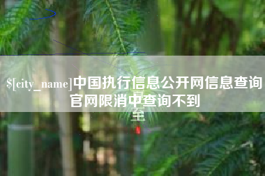 泽州中国执行信息公开网信息查询官网限消中查询不到