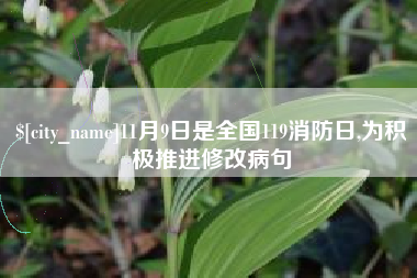 泽州11月9日是全国119消防日,为积极推进修改病句