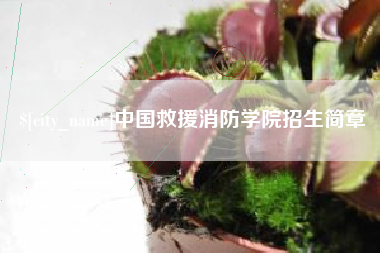 泽州中国救援消防学院招生简章