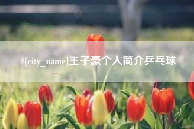 泽州王子豪个人简介乒乓球