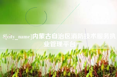 泽州内蒙古自治区消防技术服务执业管理平台