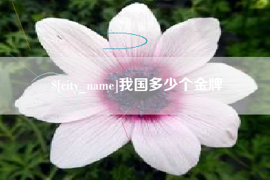 泽州我国多少个金牌
