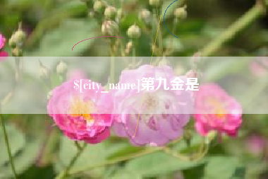 泽州第九金是