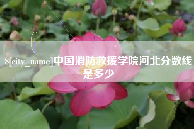 泽州中国消防救援学院河北分数线是多少