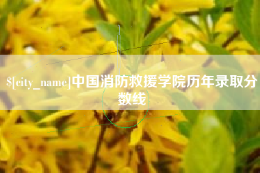 泽州中国消防救援学院历年录取分数线