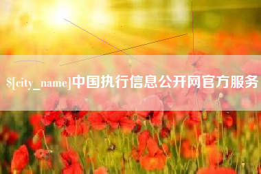 泽州中国执行信息公开网官方服务