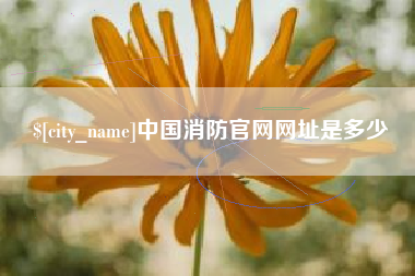 泽州中国消防官网网址是多少