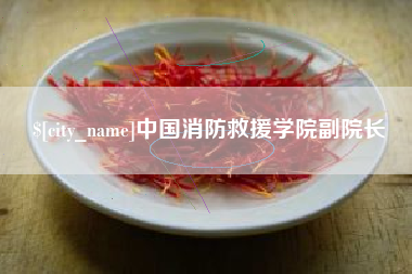 泽州中国消防救援学院副院长
