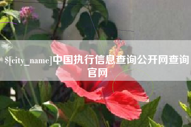 泽州中国执行信息查询公开网查询官网