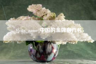 泽州中国的金牌有几名