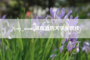 泽州河南消防大学分数线