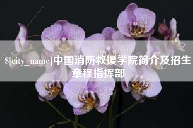 泽州中国消防救援学院简介及招生章程指挥部