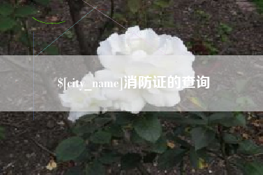 泽州消防证的查询