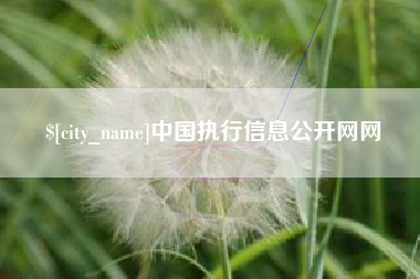 泽州中国执行信息公开网网