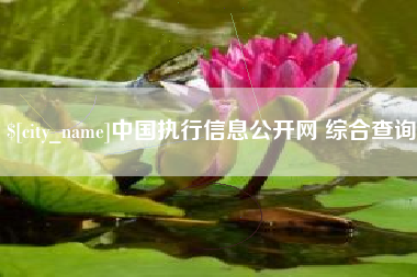 泽州中国执行信息公开网 综合查询