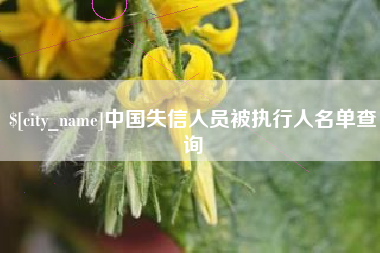 泽州中国失信人员被执行人名单查询