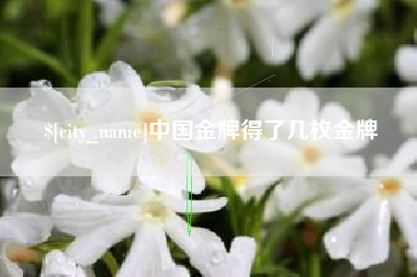 泽州中国金牌得了几枚金牌