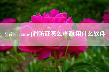 泽州消防证怎么查询,用什么软件