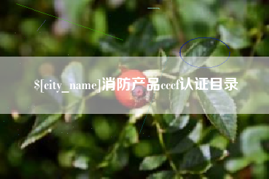 泽州消防产品cccf认证目录